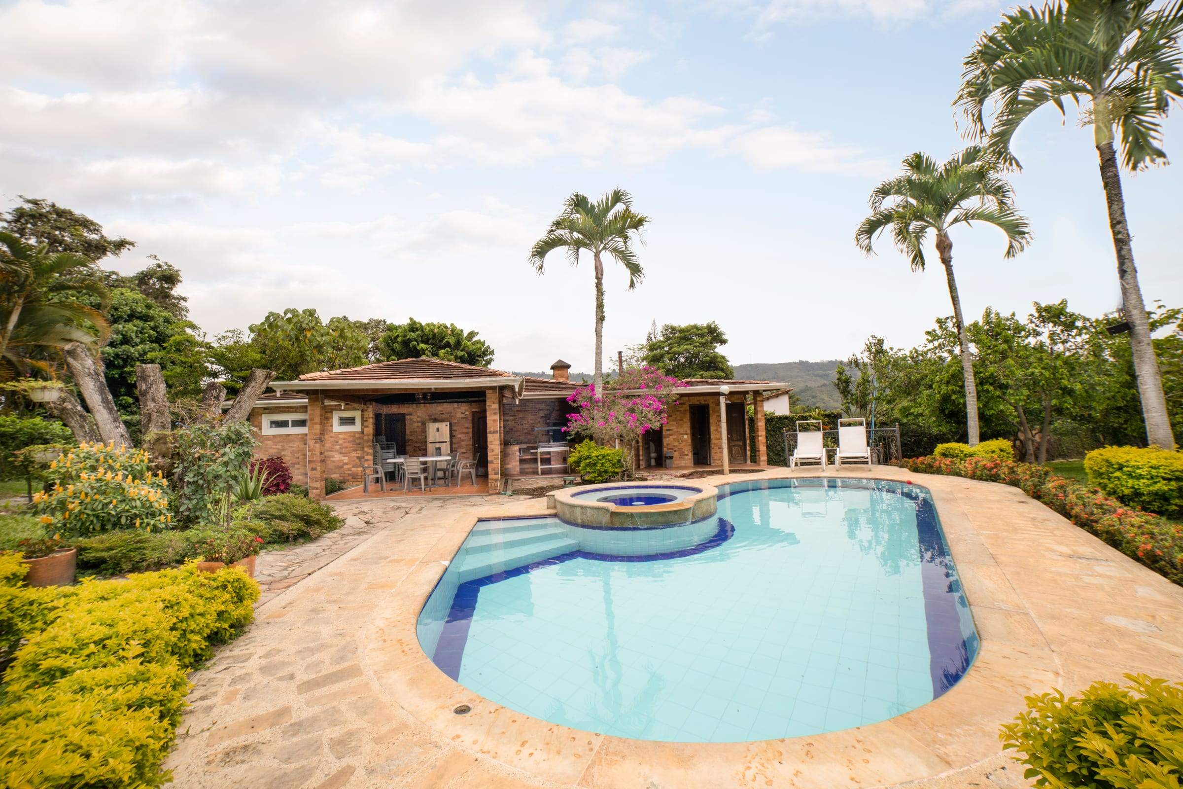 Piscina con palmeras